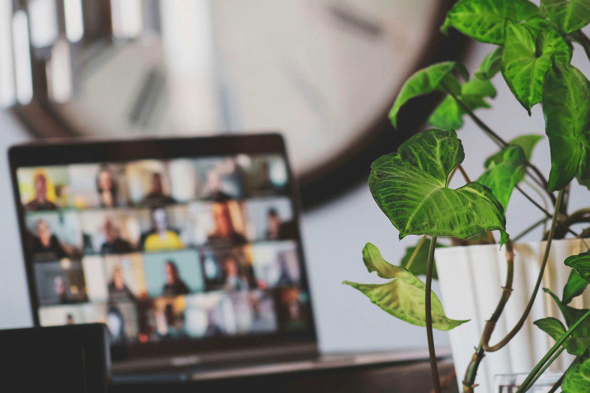 Laptop displaying a virtual team meeting beside a growing plant, symbolising a business that scales through collaboration, documented systems, and shared knowledge rather than relying solely on the founder's involvement.